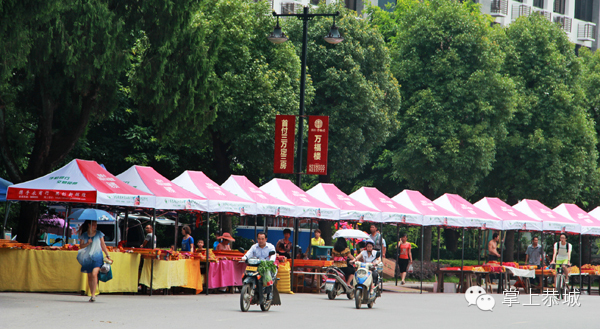 2014恭城关公文化节前探978 / 作者:社区小编 / 帖子ID:102350