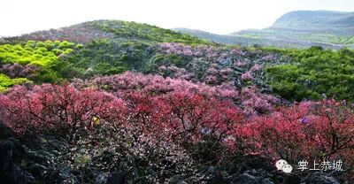 恭城景点大全（二）868 / 作者:@掌上恭城 / 帖子ID:102558