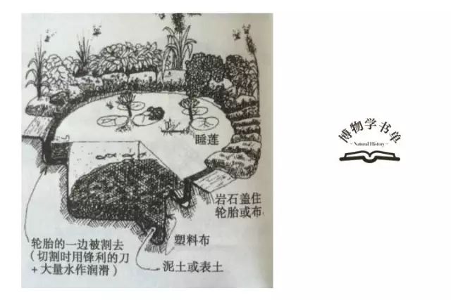 图书摘要 只有放弃我们优越与自然世界的想法, 才有可能与自然和谐相处。 永续农业的核心是设计, 而且所设计的是事物之间的联系。 ◎ 厨房门前的烹饪香料 设想下,你刚做好汤并想在端上去前撒点荷兰芹作为佐料, 外面下着雨而你穿着毛茸茸的拖鞋, 没有办法冲出区采摘, 因为它太远。 如果在厨房门外有一个香草种植床, 这样收获新鲜的香草就不是问题。 (都市圆形种植床)p124 道边可采的蔬菜 这些菜沿道边生长, 周而复始地被移走、定植及重新种植。 人们通常采摘叶片或茎做沙拉或炒菜,很少收获整个植株,