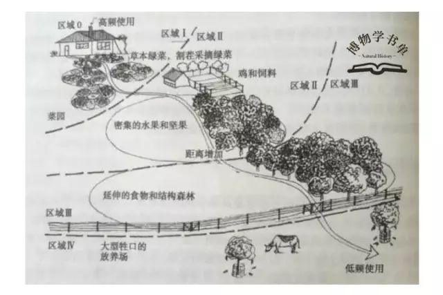 图书摘要 只有放弃我们优越与自然世界的想法, 才有可能与自然和谐相处。 永续农业的核心是设计, 而且所设计的是事物之间的联系。 ◎ 厨房门前的烹饪香料 设想下,你刚做好汤并想在端上去前撒点荷兰芹作为佐料, 外面下着雨而你穿着毛茸茸的拖鞋, 没有办法冲出区采摘, 因为它太远。 如果在厨房门外有一个香草种植床, 这样收获新鲜的香草就不是问题。 (都市圆形种植床)p124 道边可采的蔬菜 这些菜沿道边生长, 周而复始地被移走、定植及重新种植。 人们通常采摘叶片或茎做沙拉或炒菜,很少收获整个植株,