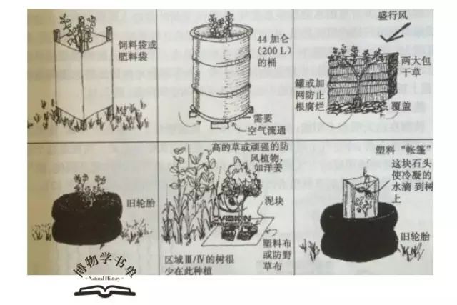 图书摘要 只有放弃我们优越与自然世界的想法, 才有可能与自然和谐相处。 永续农业的核心是设计, 而且所设计的是事物之间的联系。 ◎ 厨房门前的烹饪香料 设想下,你刚做好汤并想在端上去前撒点荷兰芹作为佐料, 外面下着雨而你穿着毛茸茸的拖鞋, 没有办法冲出区采摘, 因为它太远。 如果在厨房门外有一个香草种植床, 这样收获新鲜的香草就不是问题。 (都市圆形种植床)p124 道边可采的蔬菜 这些菜沿道边生长, 周而复始地被移走、定植及重新种植。 人们通常采摘叶片或茎做沙拉或炒菜,很少收获整个植株,