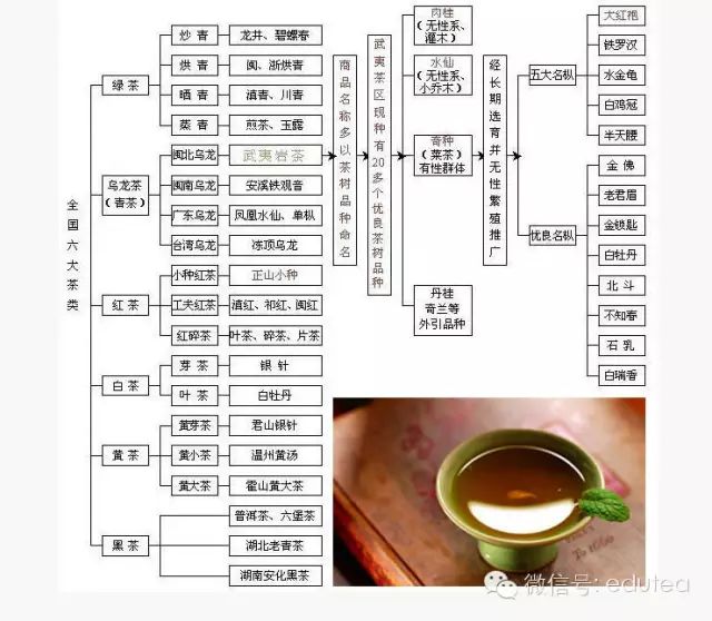 茶文化解析:中国茶叶分类大全