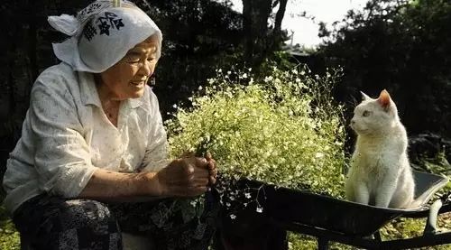 北活态度  不饶人的岁月,旧时光里的一首歌