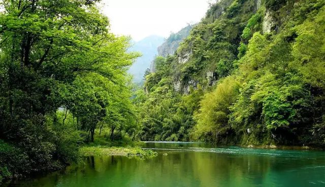 冠峰美學(xué)地板_愛峰木地板_木格子地板