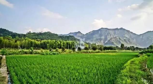 愛峰木地板_冠峰美學地板_木格子地板