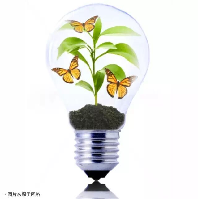 光亚展：如何从海外买家手里赚更多的钱？