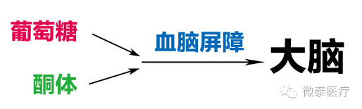为什么要校正血酮仪血糖仪中的“血酮”是什么意思？_https://www.jmylbn.com_新闻资讯_第2张
