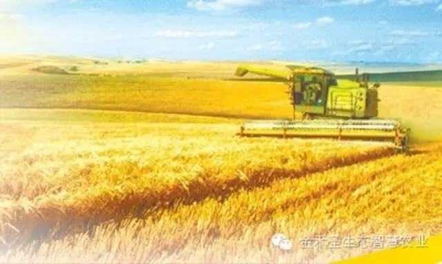 点赞!“十二五”农业成就辉煌~~~ 点赞!“十二五”农业成就辉煌~~~