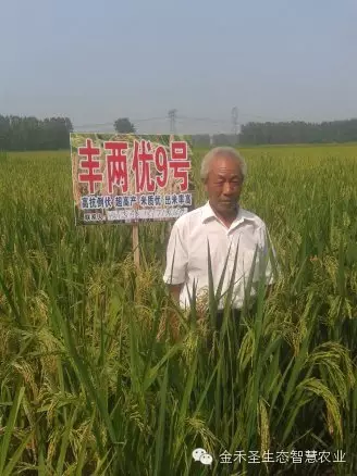 ※金禾生态智慧农业运营全面喜获丰收,农民实得提质增效 ※金禾生态智慧农业运营全面喜获丰收,农民实得提质增效