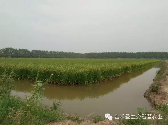 金禾惠农公司大事记及企业资讯 金禾惠农公司大事记及企业资讯