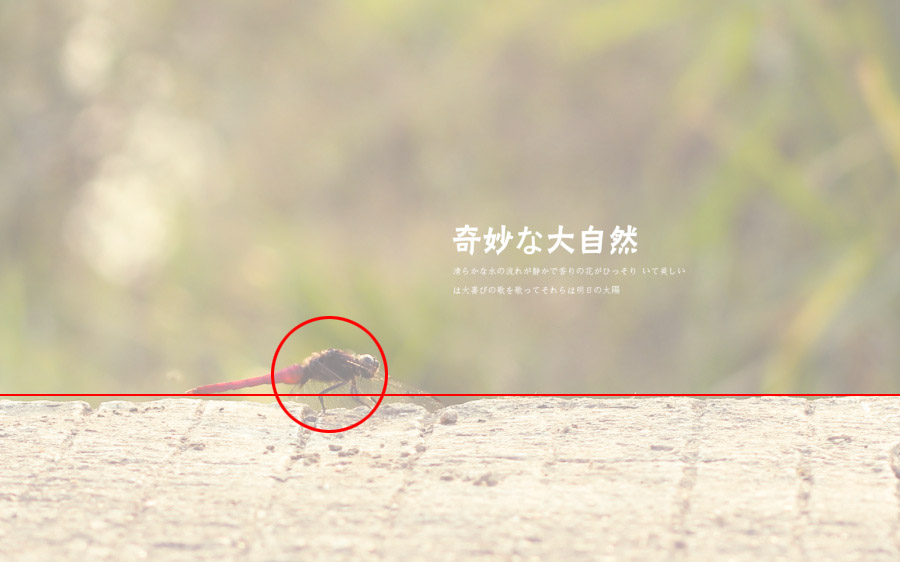 ��ϸ������Ӱ��Ʒ�еĹ�ͼ���ɽ̳�