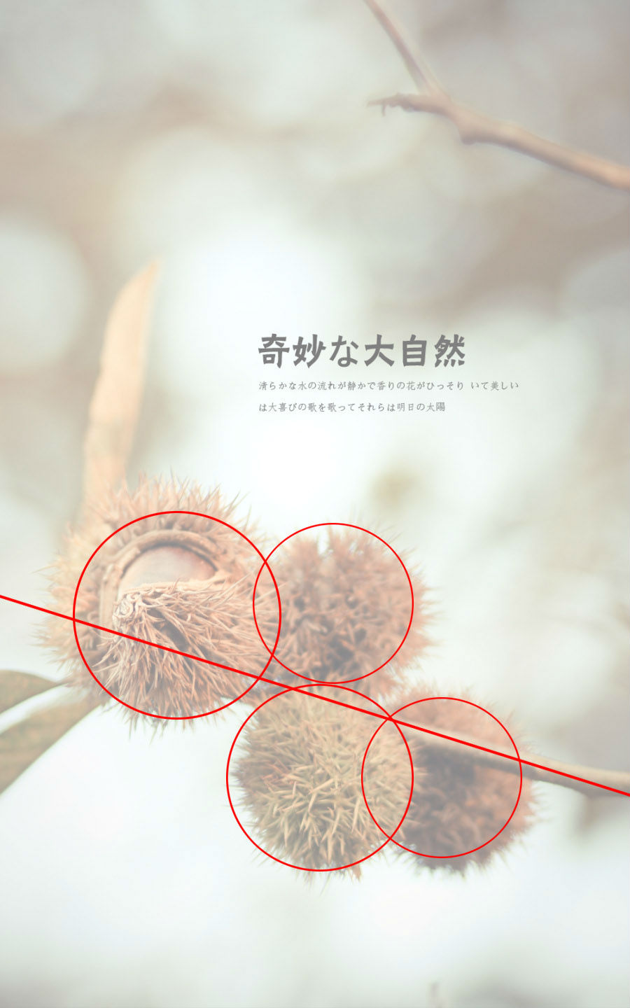 ��ϸ������Ӱ��Ʒ�еĹ�ͼ���ɽ̳�