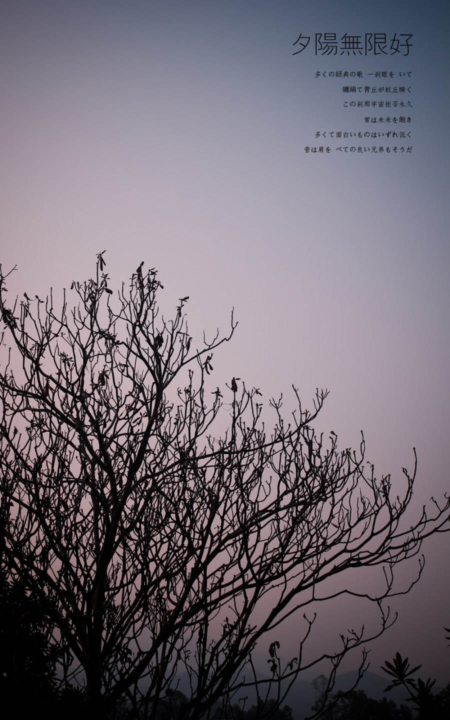 ��ϸ������Ӱ��Ʒ�еĹ�ͼ���ɽ̳�