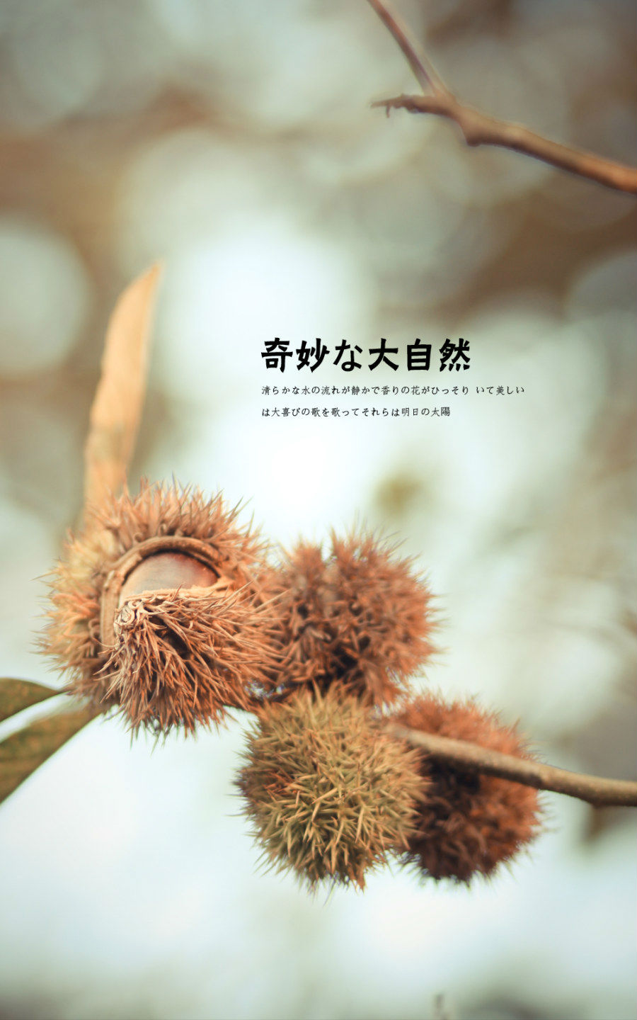 ��ϸ������Ӱ��Ʒ�еĹ�ͼ���ɽ̳�