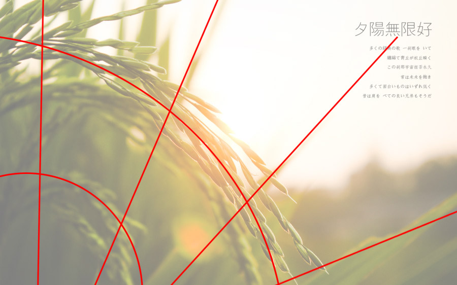 ��ϸ������Ӱ��Ʒ�еĹ�ͼ���ɽ̳�