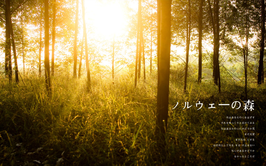 ��ϸ������Ӱ��Ʒ�еĹ�ͼ���ɽ̳�