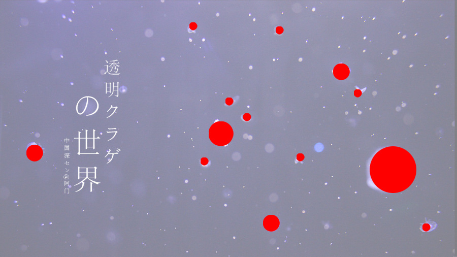 ��ϸ������Ӱ��Ʒ�еĹ�ͼ���ɽ̳�