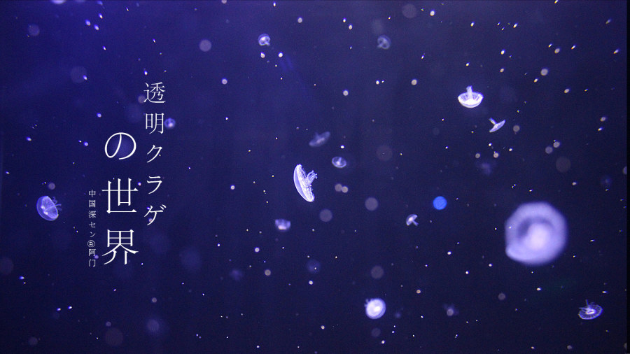 ��ϸ������Ӱ��Ʒ�еĹ�ͼ���ɽ̳�