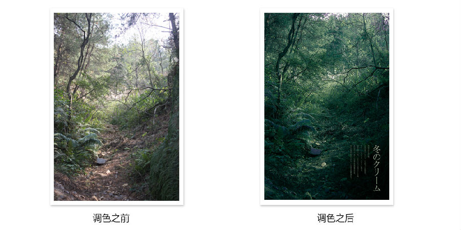 详细解析后期调色葵花宝典终极版,PS教程,思缘教程网