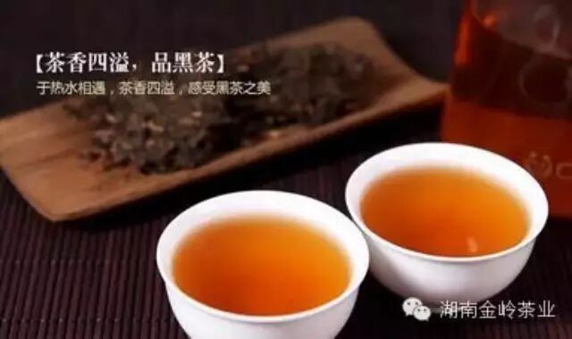 常饮黑茶 品茶享“寿”