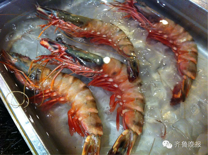 青岛海鲜批发网