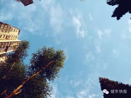 厄尔尼诺或致今夏上演“南涝北旱”