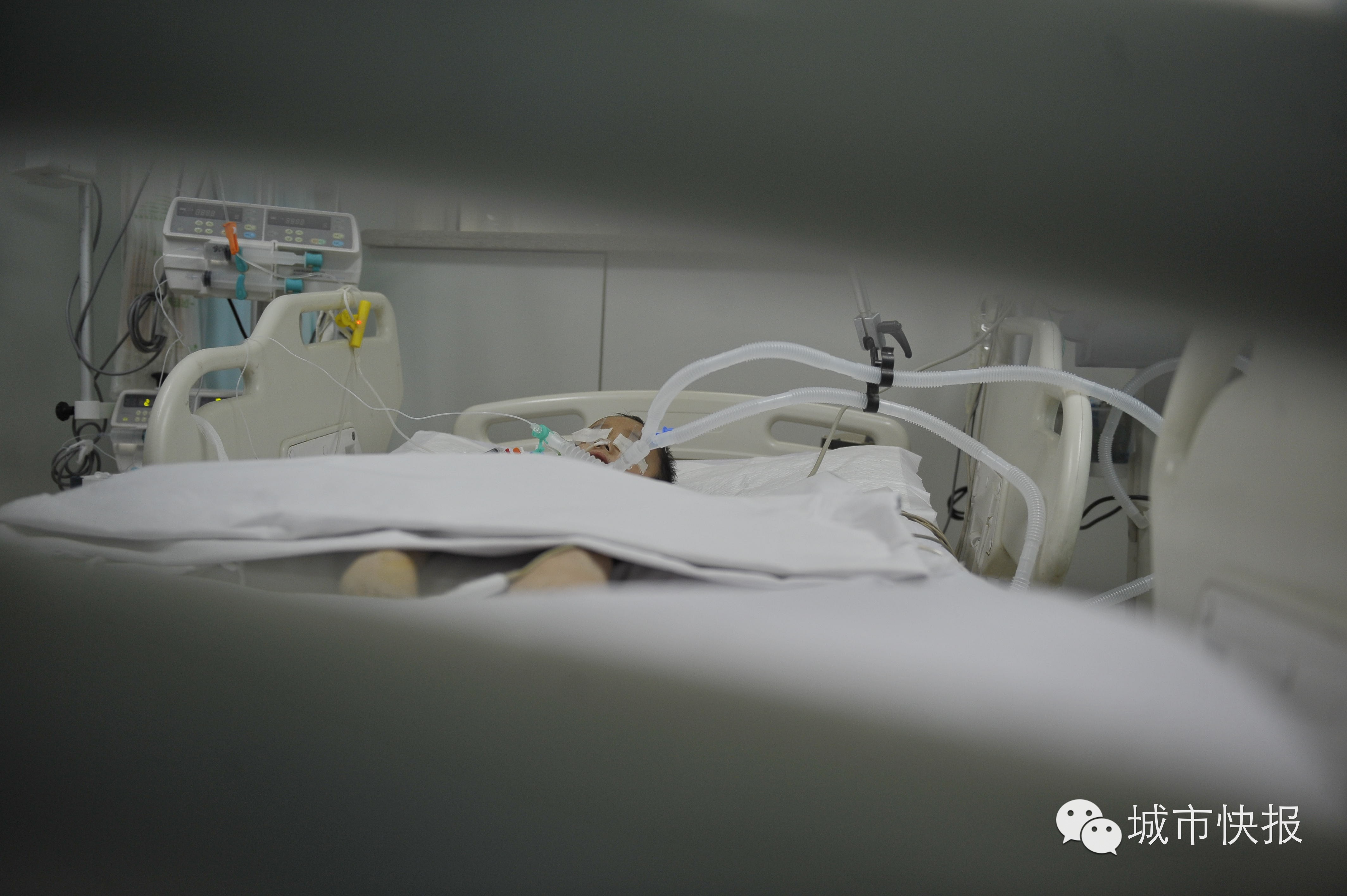 4岁孩子来人世短短一遭 已救回两条人命