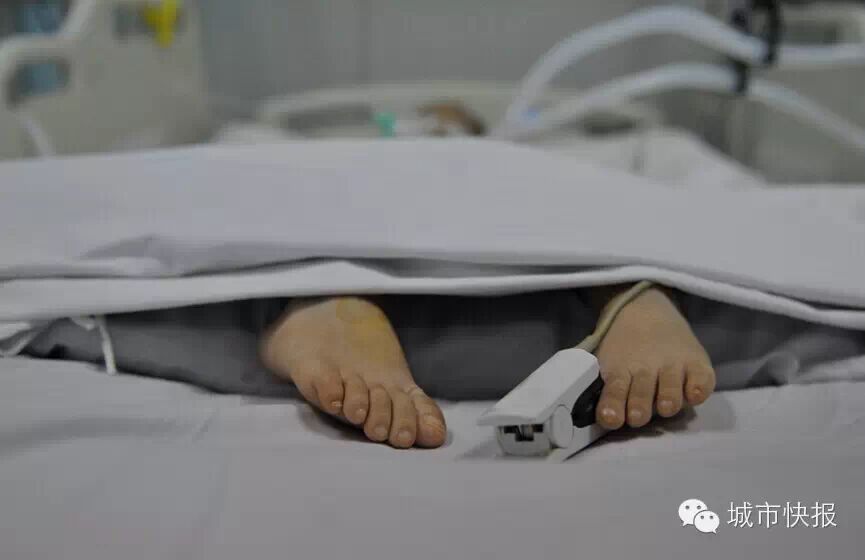 4岁孩子来人世短短一遭 已救回两条人命