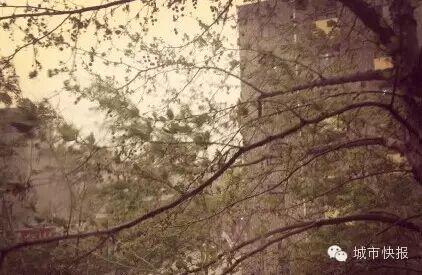 北京天已经“黄”了，天津还远吗？