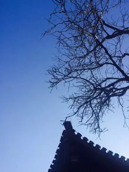 冷空气对津城影响减弱 元宵节有轻霾