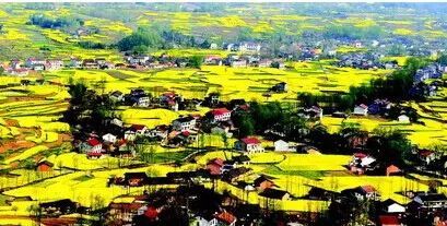 从天津坐火车，可直达这些赏花地！