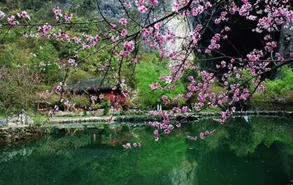 从天津坐火车，可直达这些赏花地！