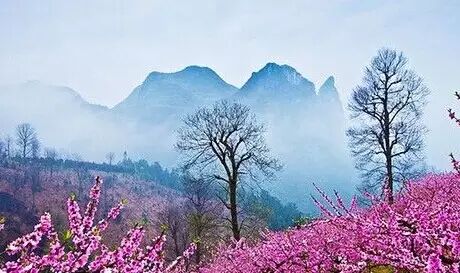 从天津坐火车，可直达这些赏花地！