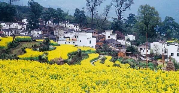 从天津坐火车，可直达这些赏花地！