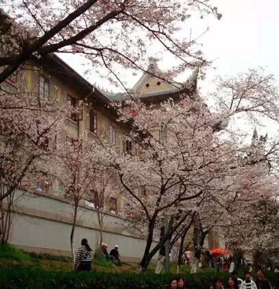 从天津坐火车，可直达这些赏花地！