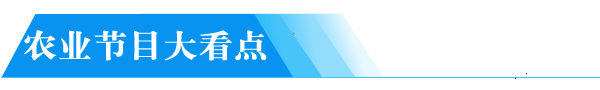 致富经20130102农视网_农视网致富经_致富频道