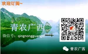 【广西乡村好青年】桂林市恭城县郑国庆：洋石村的“美容师”244 / 作者:猫小萌 / 帖子ID:105096