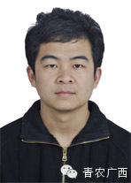 【广西乡村好青年】桂林市恭城县郑国庆：洋石村的“美容师”594 / 作者:猫小萌 / 帖子ID:105096