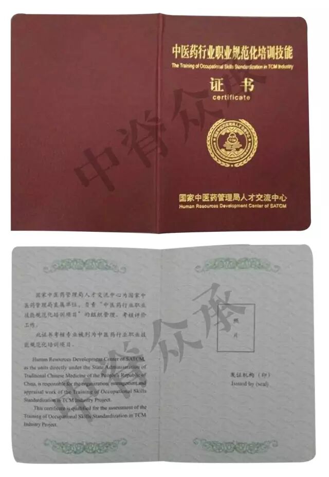 中医康复理疗师