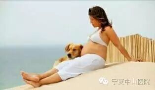 怀孕初期注意事项(怀孕初期应该注意什么)-怀孕期