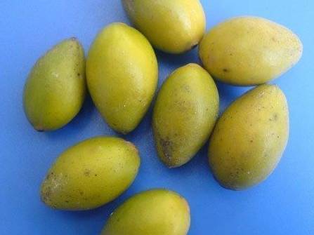 为什么肝癌一发现就是晚期？你“肝”净吗？不护好肝，以后别后悔喽！