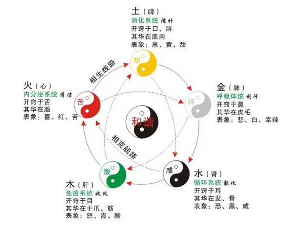 克为平衡   中医学里讲究"五行,五气,五脏,五味,五色",他们彼此勾