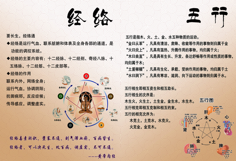 中医阴阳五行学说与十二经络养生之道！