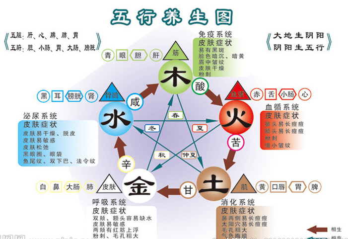 中医阴阳五行学说与十二经络养生之道！