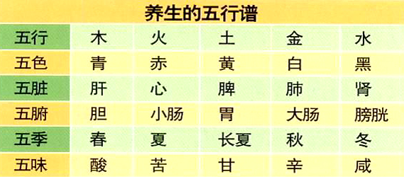 中医阴阳五行学说与十二经络养生之道！