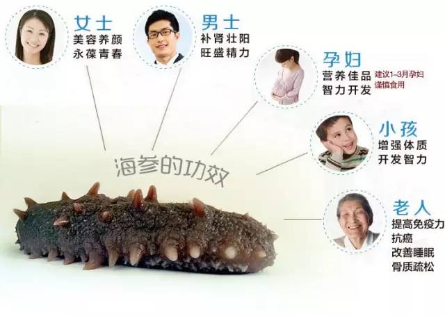 亚健康人群吃海参有什么好处:精力充沛