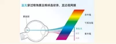 行家说