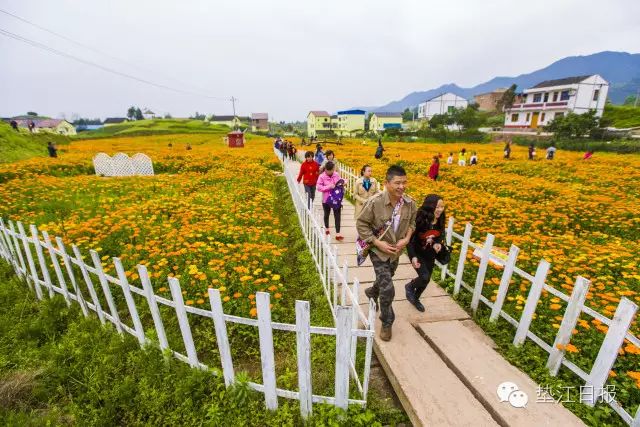 图为2016年牡丹节开幕式 垫江是"千年古县,牡丹故里,每年的牡丹节