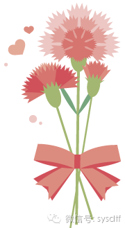 瘦身方案_瘦身方案演講_瘦身方案搭配