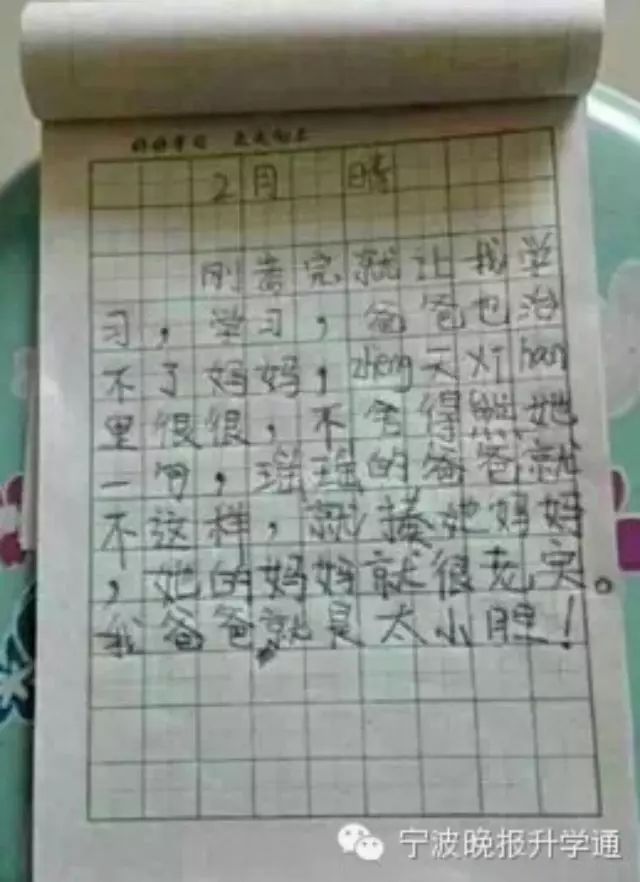 一年级熊孩子62字日记引爆朋友圈 宁波小学生也有奇文